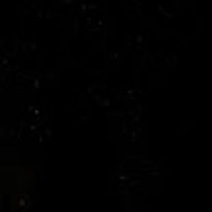 Meet your Posher, Hallie